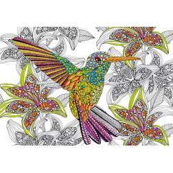 Puzzle de colorat Educa - Hummingbird, 300 piese, include lipici puzzle (17083)